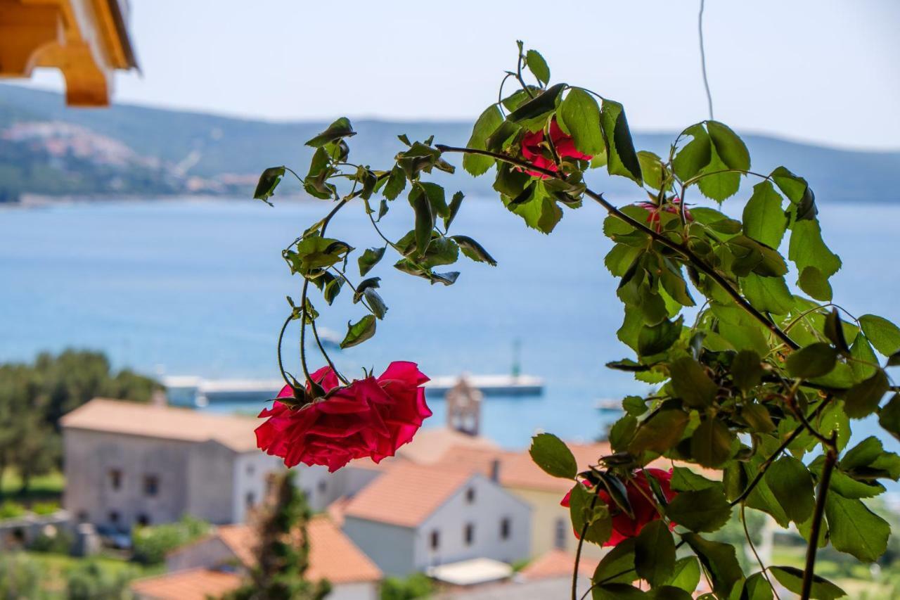 Apartmani Zorica Martinscica  Luaran gambar
